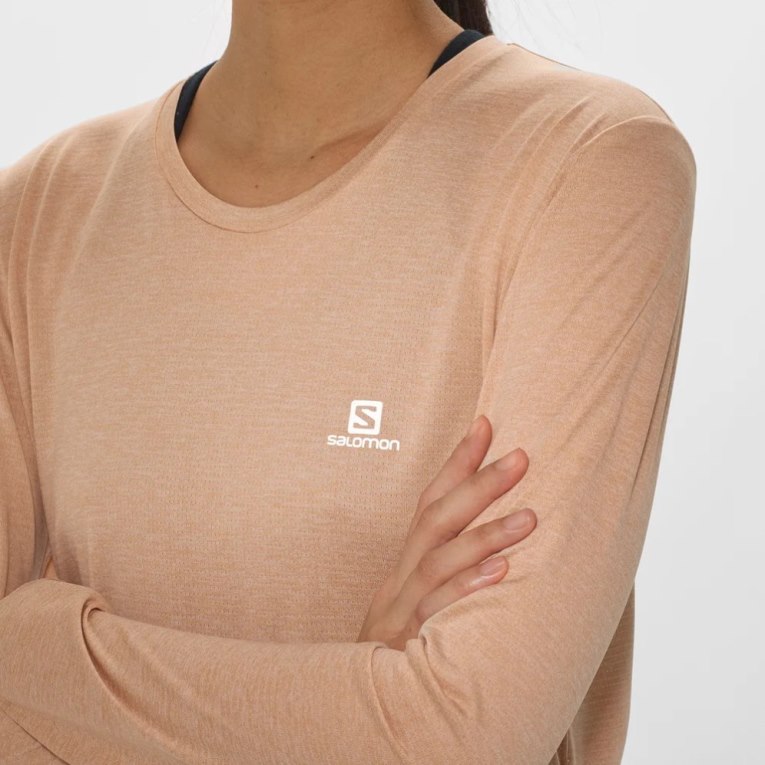 Camiseta Salomon Agile Long Sleeve Mujer Albaricoque | MX TPVE305